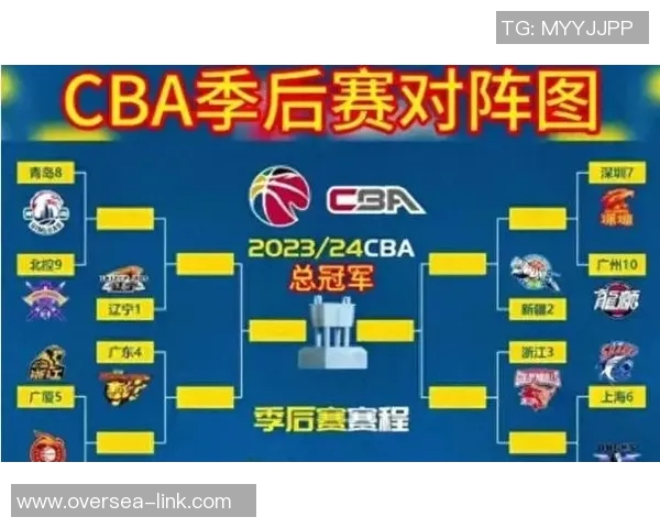 CBA赛季中期球队战绩解析与未来赛程走向预测分析