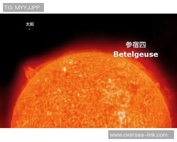 太阳评分揭晓：表现出色还是失常低迷成为热议焦点